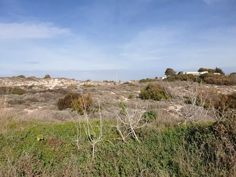 Immagine 3 di Terreno in vendita  in Trullo di Mare SP122, N. snc a Torricella