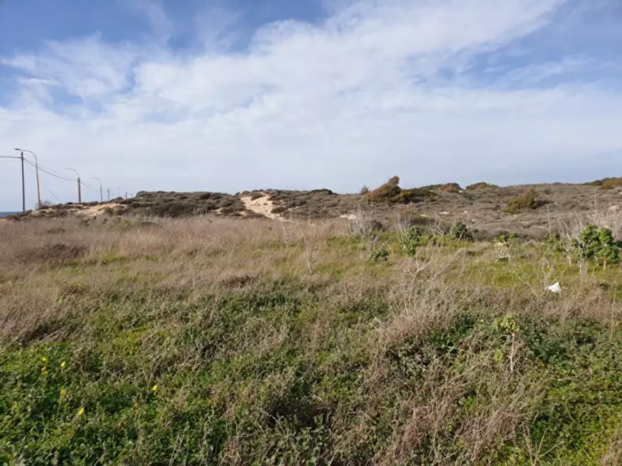 Immagine 4 di Terreno in vendita  in Trullo di Mare SP122, N. snc a Torricella