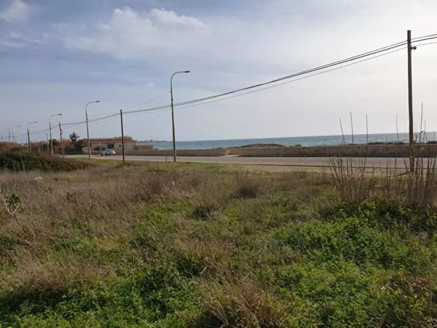 Immagine 7 di Terreno in vendita  in Trullo di Mare SP122, N. snc a Torricella
