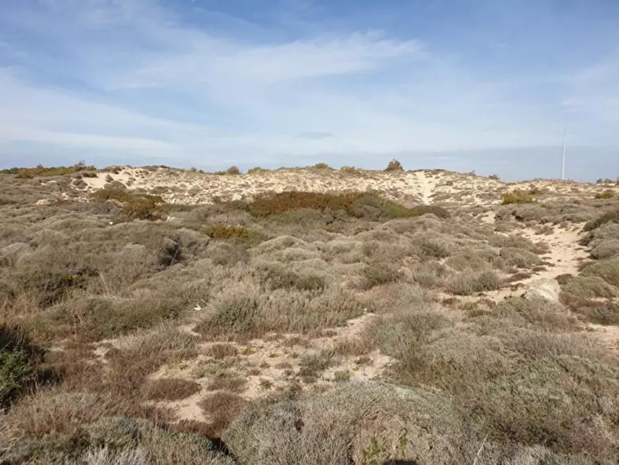 Immagine 9 di Terreno in vendita  in Trullo di Mare SP122, N. snc a Torricella