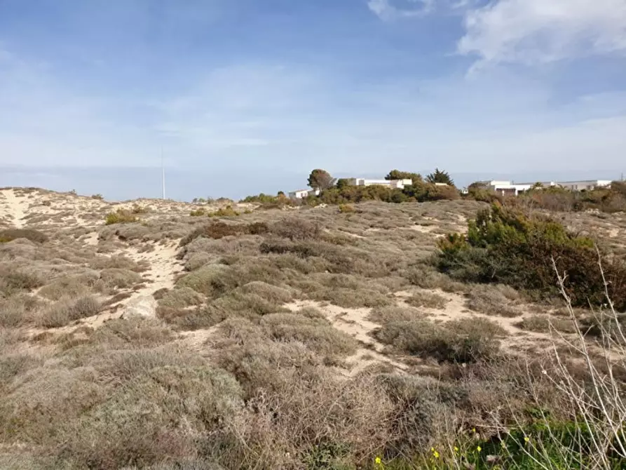 Immagine 12 di Terreno in vendita  in Trullo di Mare SP122, N. snc a Torricella