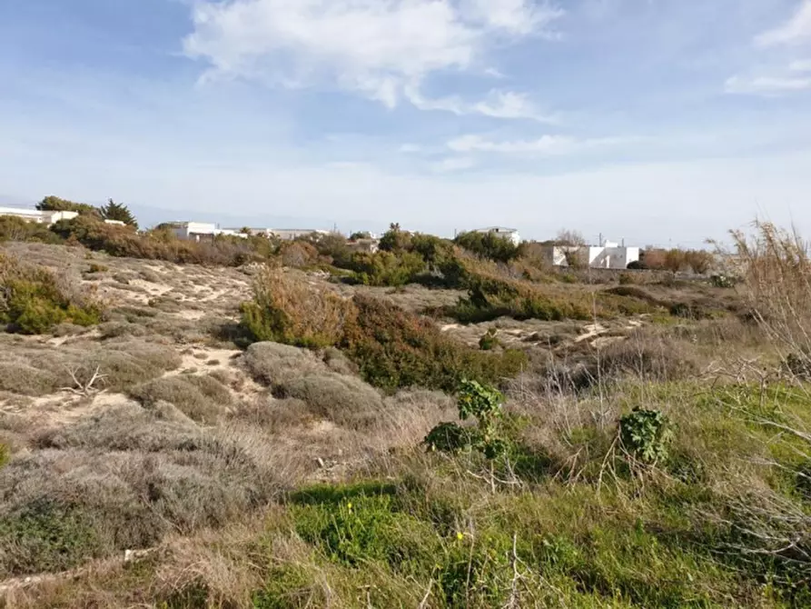Immagine 14 di Terreno in vendita  in Trullo di Mare SP122, N. snc a Torricella