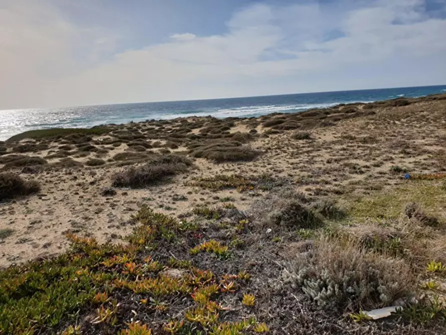 Immagine 15 di Terreno in vendita  in Trullo di Mare SP122, N. snc a Torricella