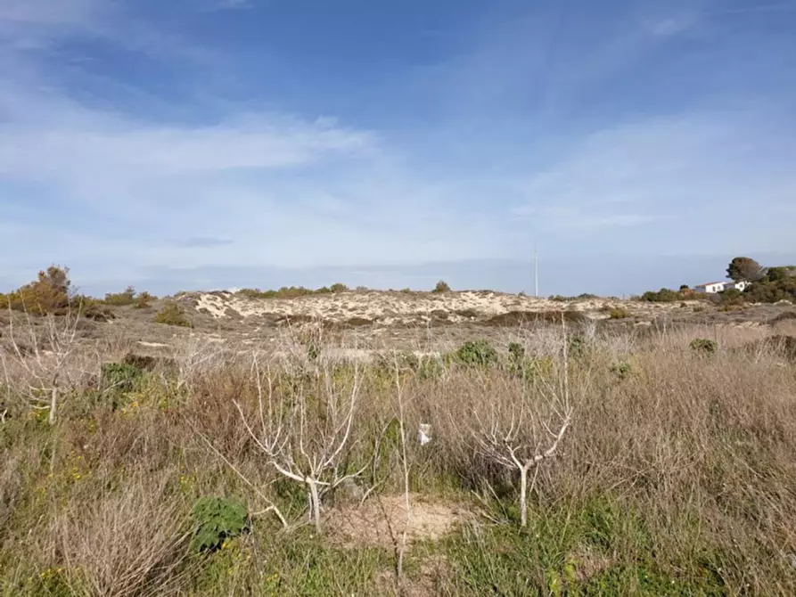 Immagine 17 di Terreno in vendita  in Trullo di Mare SP122, N. snc a Torricella