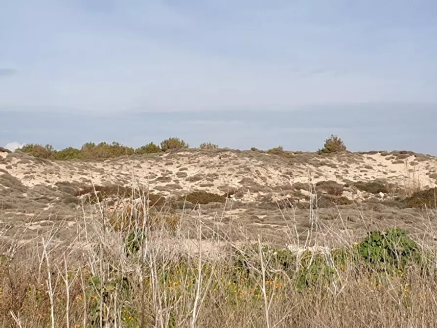 Immagine 20 di Terreno in vendita  in Trullo di Mare SP122, N. snc a Torricella
