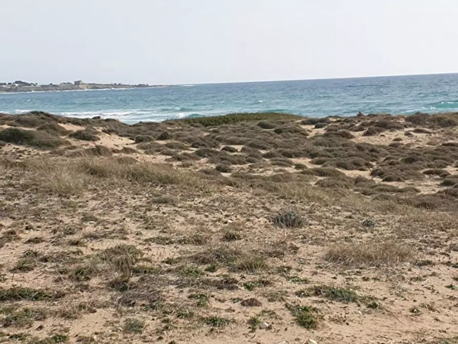 Immagine 21 di Terreno in vendita  in Trullo di Mare SP122, N. snc a Torricella