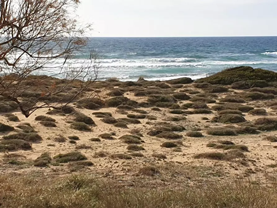 Immagine 24 di Terreno in vendita  in Trullo di Mare SP122, N. snc a Torricella