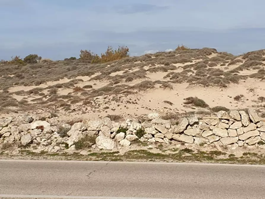 Immagine 26 di Terreno in vendita  in Trullo di Mare SP122, N. snc a Torricella