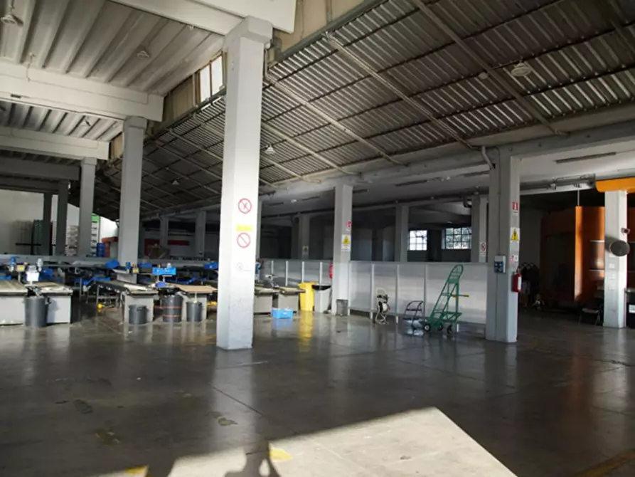 Immagine 6 di Capannone industriale in vendita  in Via Antonio Salandra, 04022 Fondi LT, Italia a Fondi