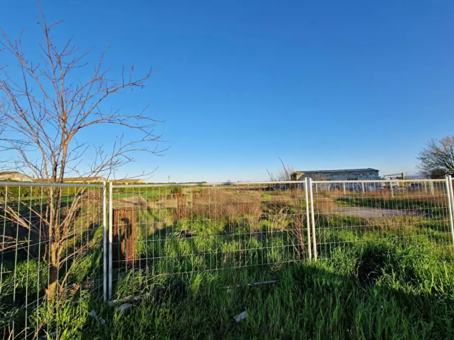 Immagine 4 di Capannone industriale in vendita  in Via Vicinale Torricchia, N. 3150 a Forlimpopoli