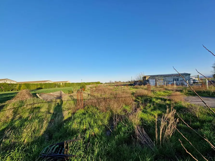 Immagine 5 di Capannone industriale in vendita  in Via Vicinale Torricchia, N. 3150 a Forlimpopoli