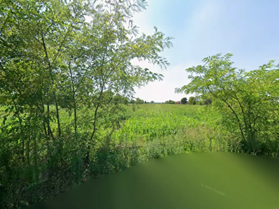 Immagine 10 di Terreno in vendita  in via trivellino a Lonato del Garda