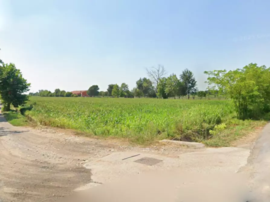 Immagine 10 di Terreno in vendita  in via fossa a Lonato del Garda