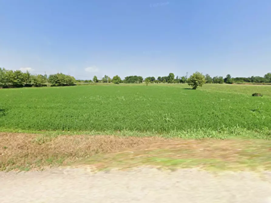 Immagine 4 di Terreno in vendita  in via colombere a Lonato del Garda