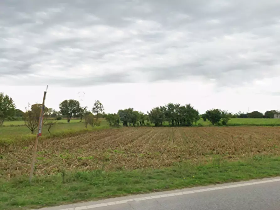 Immagine 6 di Terreno in vendita  in via colombere a Lonato del Garda