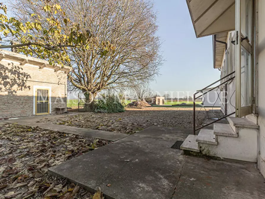 Immagine 22 di Villa in vendita  in Via Quartiere Runco a Portomaggiore