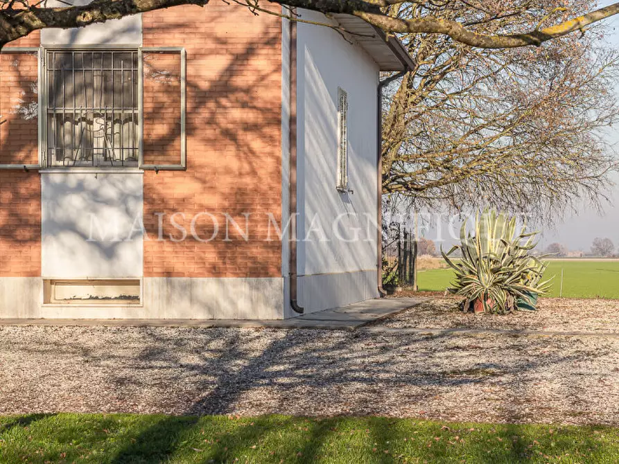 Immagine 59 di Villa in vendita  in Via Quartiere Runco a Portomaggiore