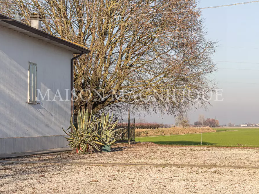 Immagine 60 di Villa in vendita  in Via Quartiere Runco a Portomaggiore