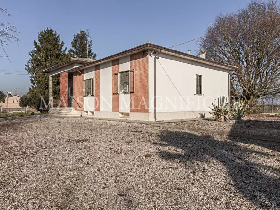 Immagine 64 di Villa in vendita  in Via Quartiere Runco a Portomaggiore