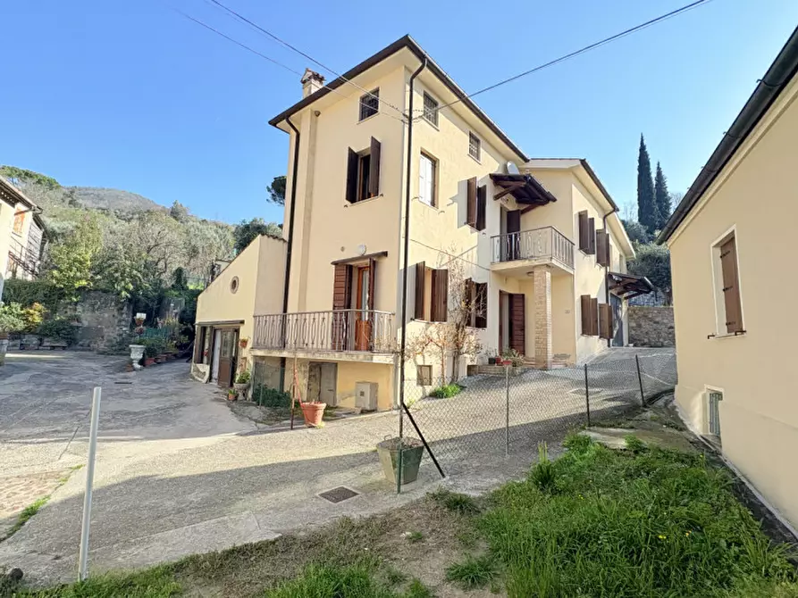 Immagine 11 di Casa indipendente in vendita  in Via Jacopo d'Arquà a Arqua' Petrarca