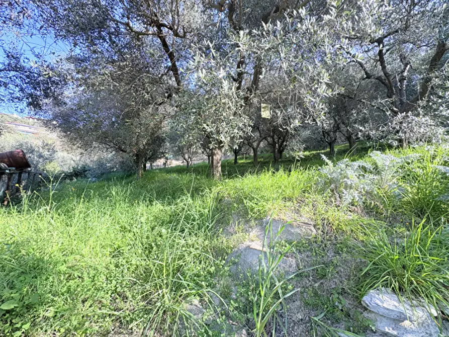 Immagine 15 di Casa indipendente in vendita  in Via Jacopo d'Arquà a Arqua' Petrarca