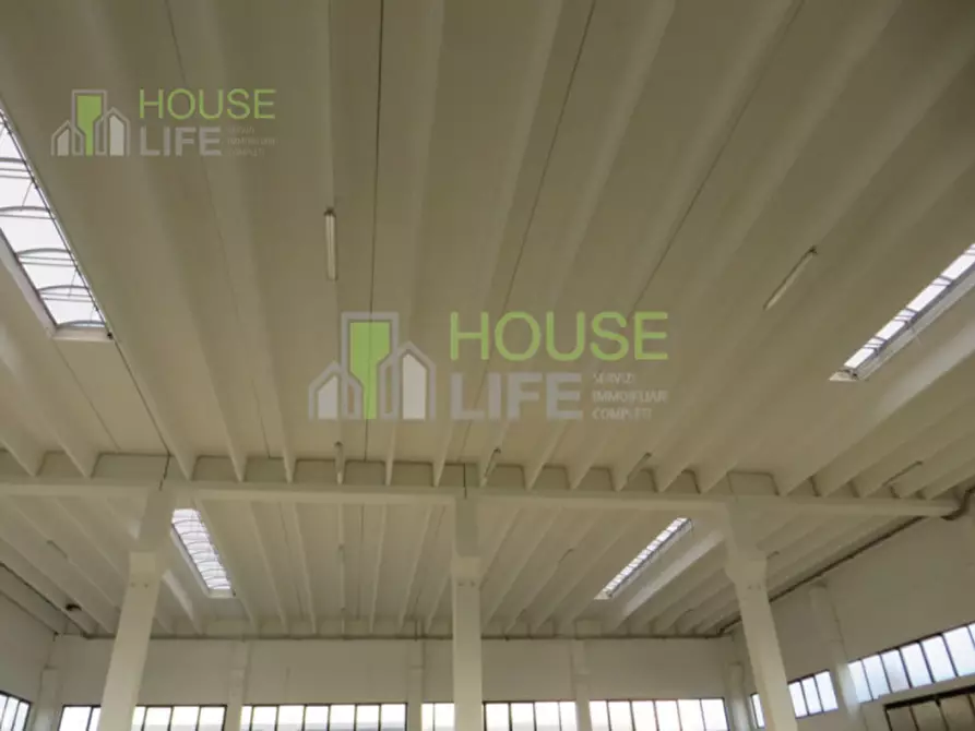 Immagine 18 di Capannone industriale in affitto  in Via dell'Agricoltura a Thiene