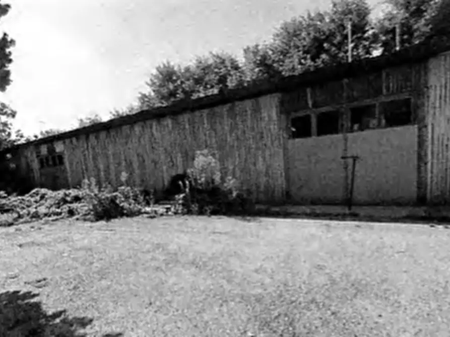 Immagine 28 di Multiproprietà in vendita  in VIA BELLE ARTI 113 a Cerea