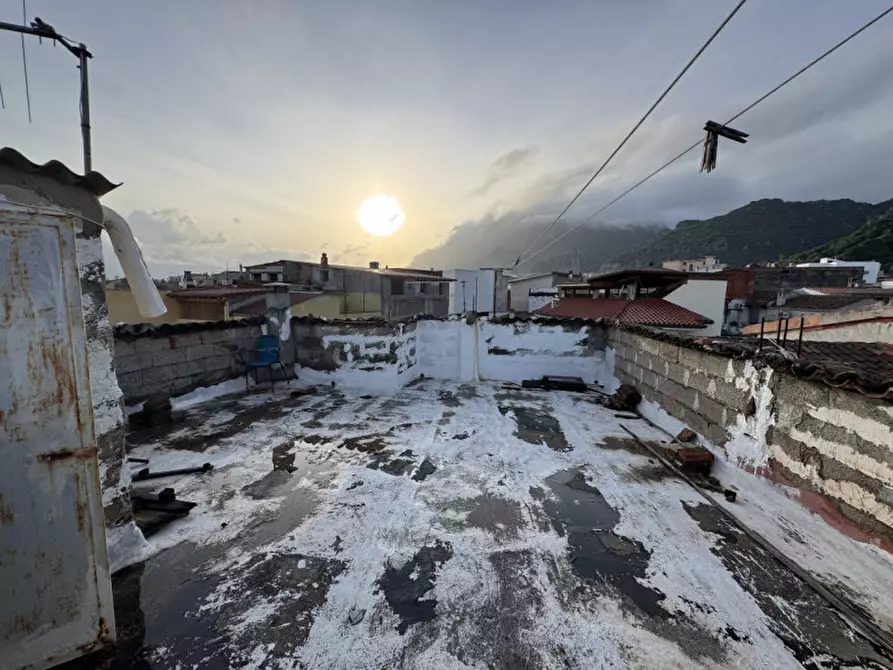 Immagine 31 di Casa indipendente in vendita  in Via Brigata Sassari a Siniscola