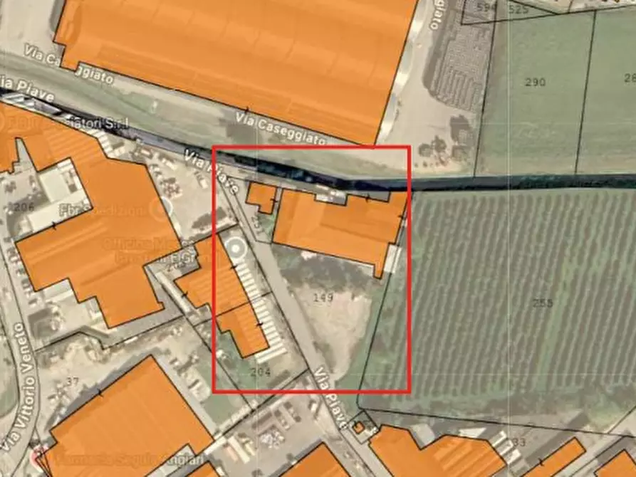 Immagine 10 di Casa indipendente in vendita  in VIA PIAVE 334 a Angiari