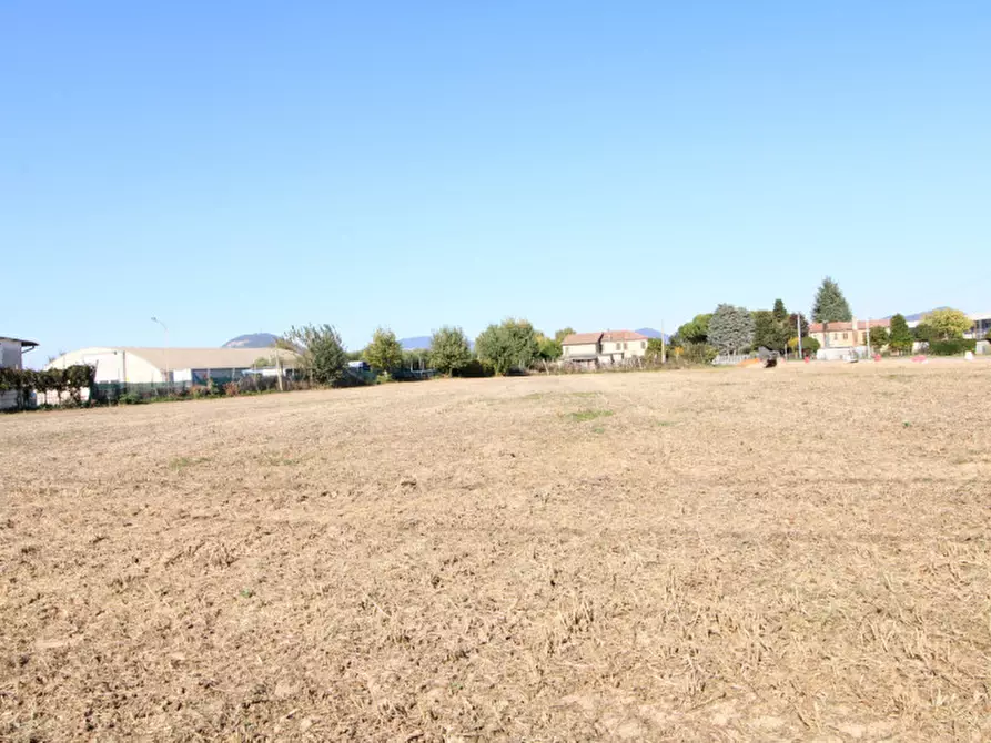 Immagine 7 di Rustico / casale in vendita  in Via Este Lendinara 21 a Villa Estense