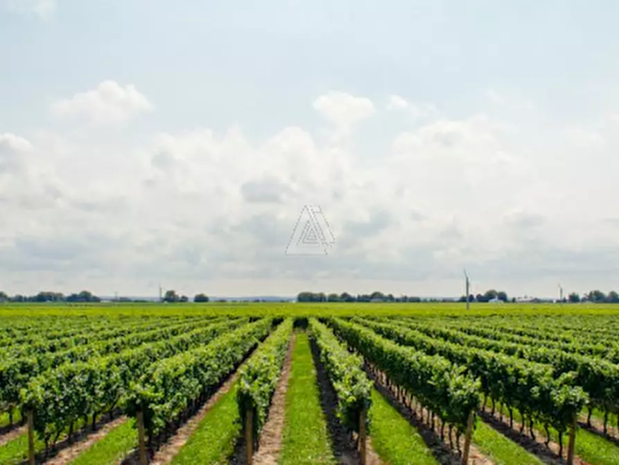 Immagine 1 di Terreno in vendita  in Via Vittorio Veneto a Castelfranco Veneto