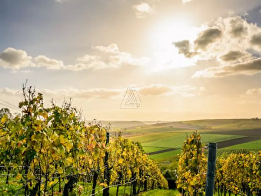 Immagine 3 di Terreno in vendita  in Via Vittorio Veneto a Castelfranco Veneto