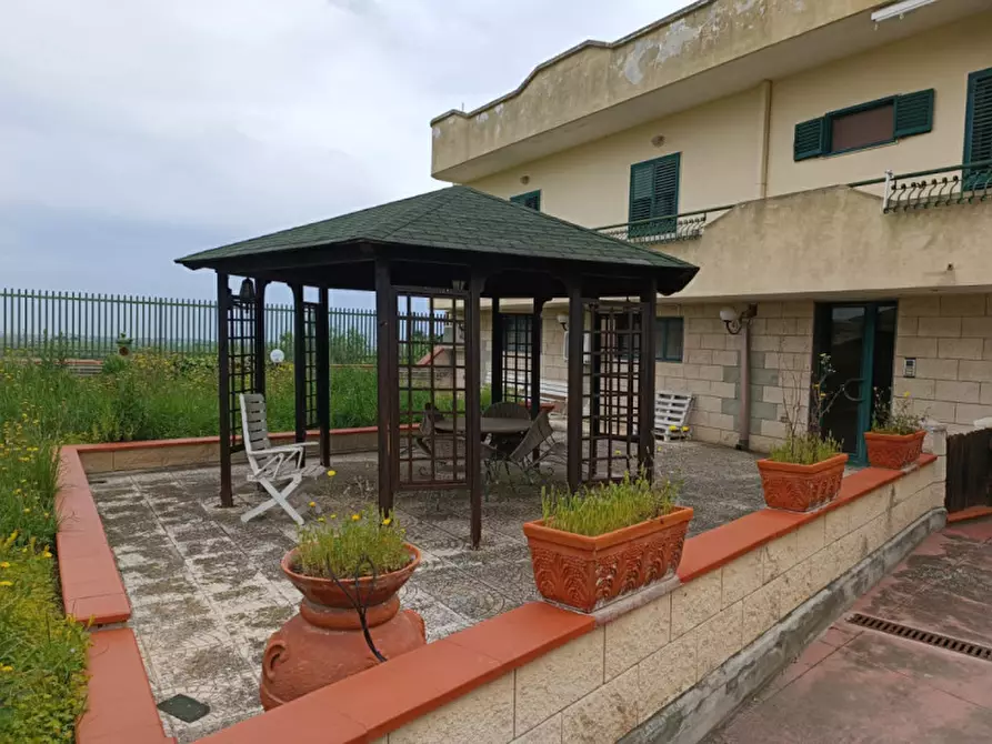 Immagine 5 di Capannone industriale in vendita  a Andria