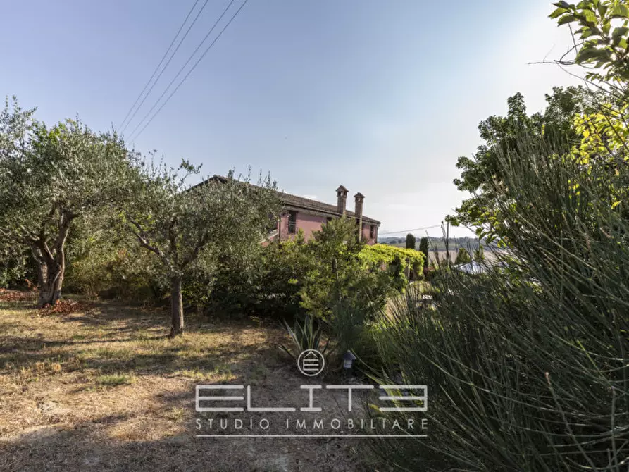 Immagine 52 di Villa in vendita  in via fabbrici e ville a Senigallia