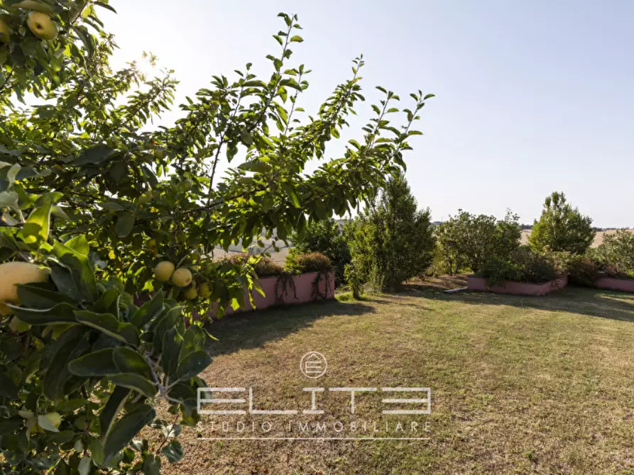 Immagine 56 di Villa in vendita  in via fabbrici e ville a Senigallia