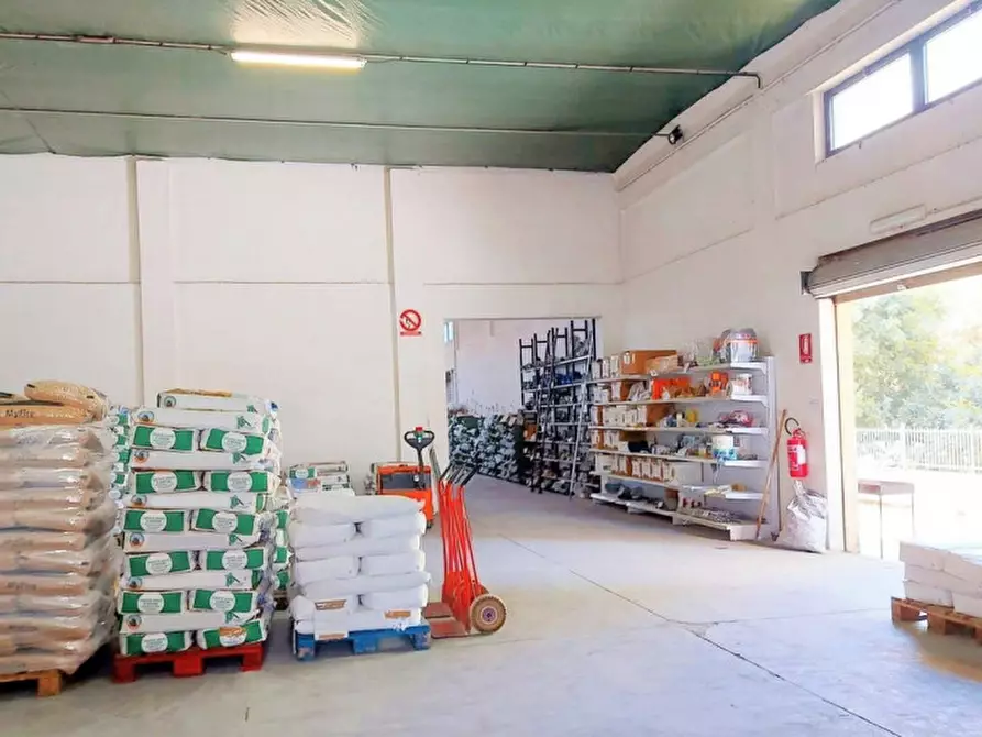 Immagine 5 di Capannone industriale in vendita  in Via Alfonso La Marmora, N. 93-95 a Pula