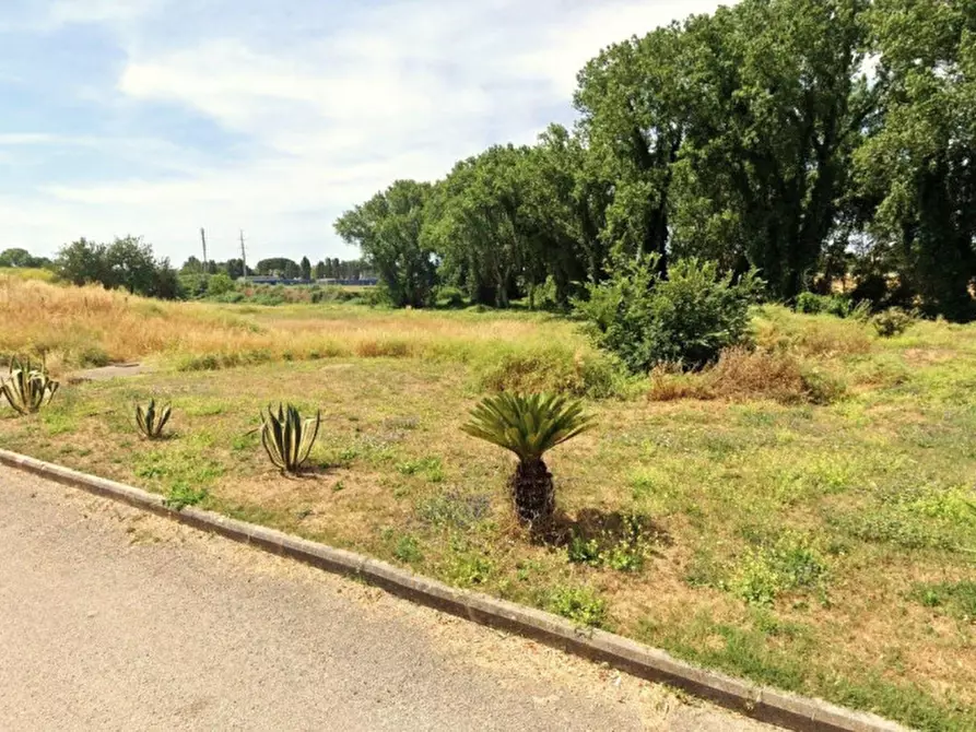casa indipendente in vendita a Nettuno