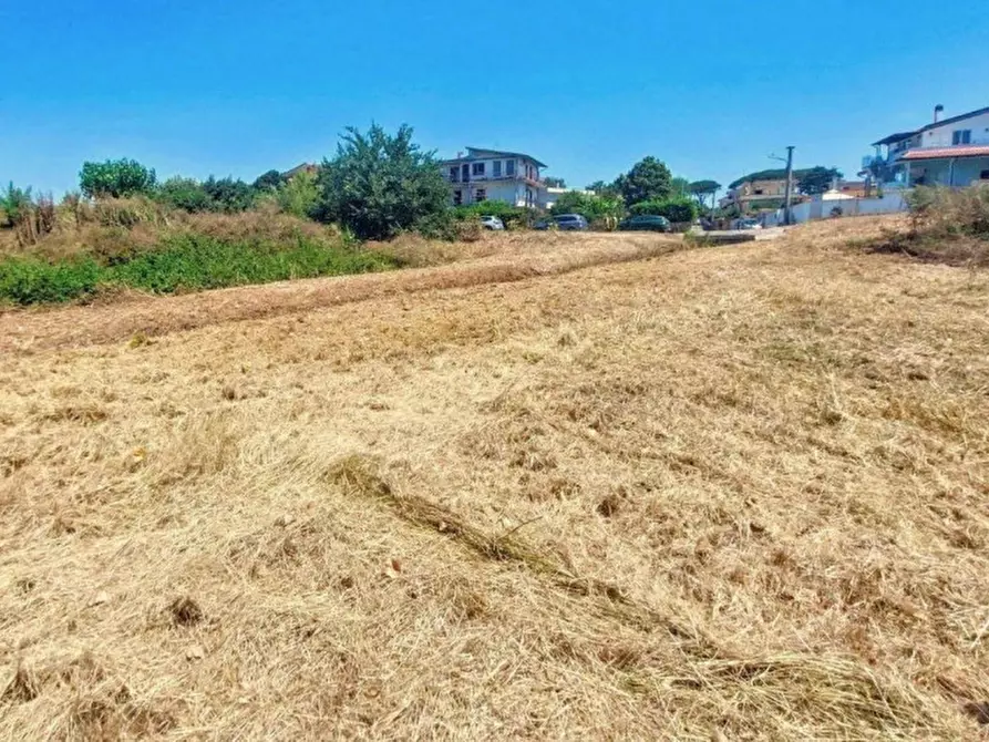Immagine 2 di Terreno in vendita  in Località Segneri, N. snc a Nettuno