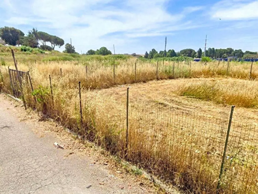 Immagine 3 di Terreno in vendita  in Località Segneri, N. snc a Nettuno