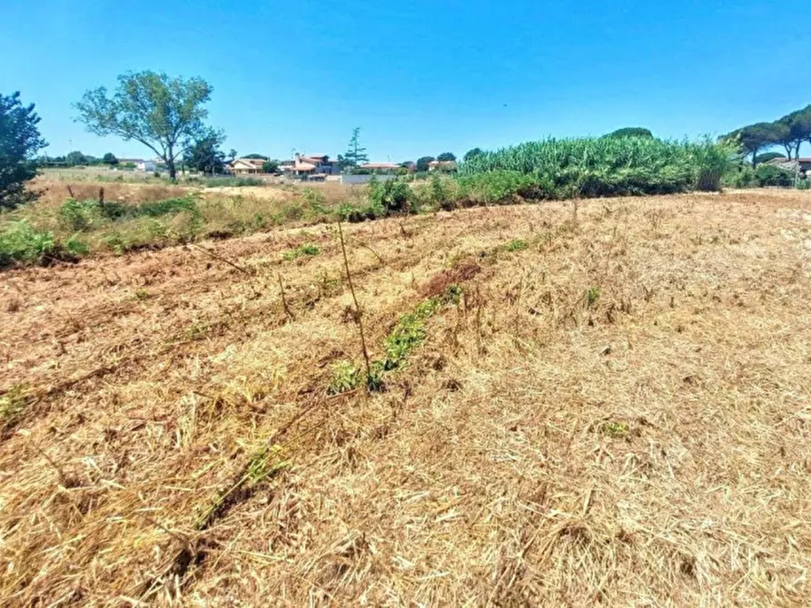 Immagine 4 di Terreno in vendita  in Località Segneri, N. snc a Nettuno