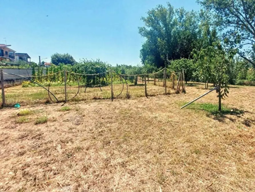 Immagine 5 di Terreno in vendita  in Località Segneri, N. snc a Nettuno