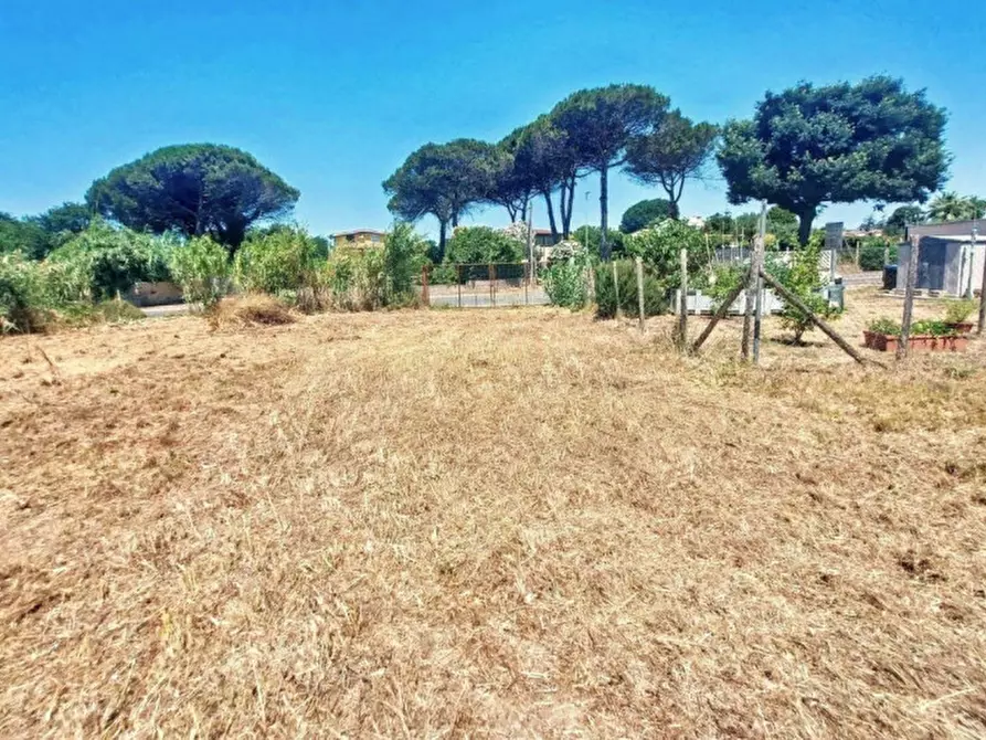 Immagine 6 di Terreno in vendita  in Località Segneri, N. snc a Nettuno