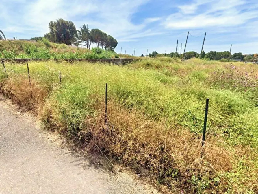 Immagine 7 di Terreno in vendita  in Località Segneri, N. snc a Nettuno