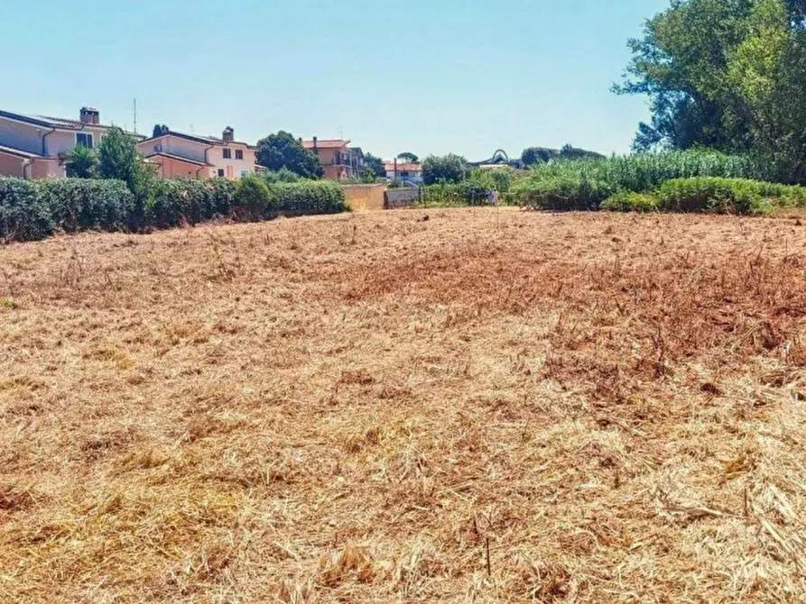 Immagine 8 di Terreno in vendita  in Località Segneri, N. snc a Nettuno