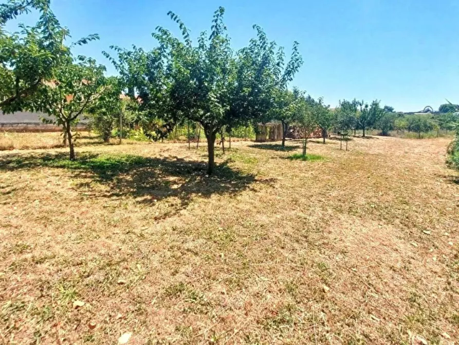Immagine 9 di Terreno in vendita  in Località Segneri, N. snc a Nettuno
