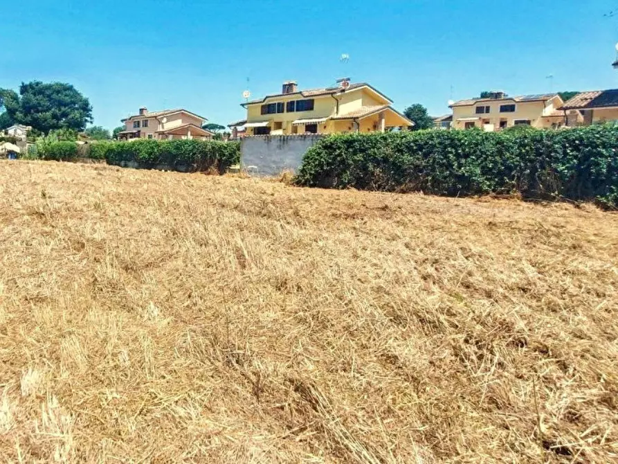 Immagine 11 di Terreno in vendita  in Località Segneri, N. snc a Nettuno