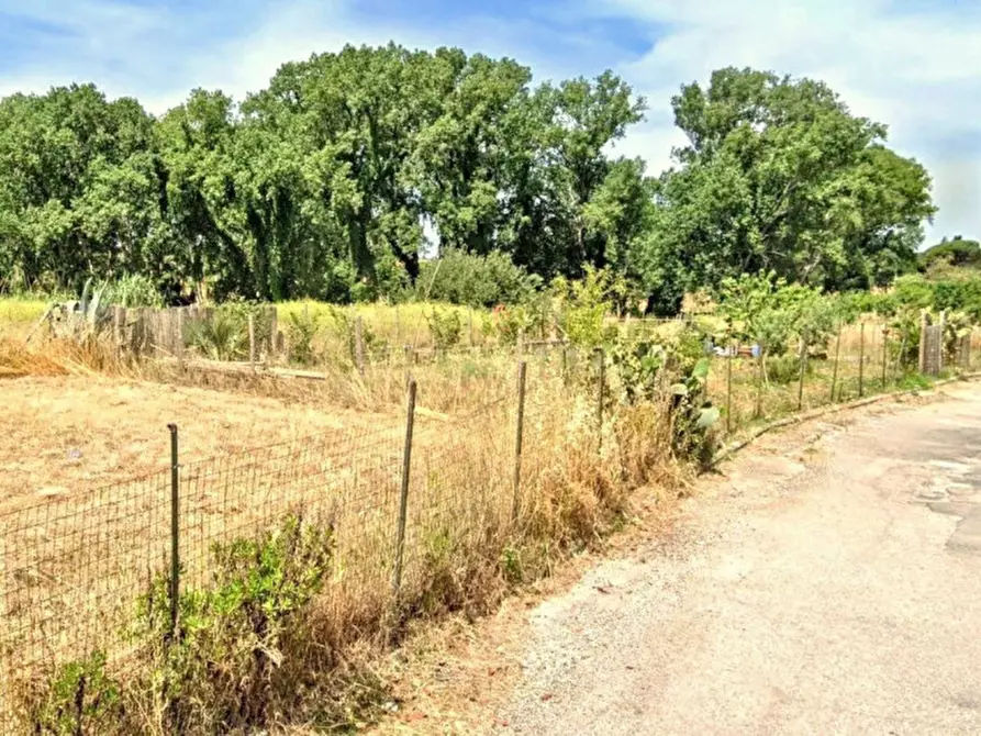 Immagine 13 di Terreno in vendita  in Località Segneri, N. snc a Nettuno