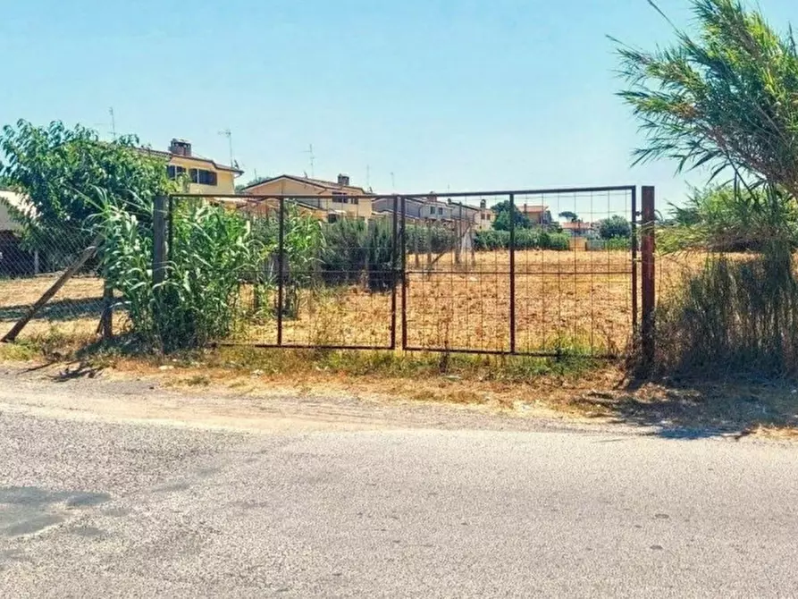 Immagine 14 di Terreno in vendita  in Località Segneri, N. snc a Nettuno