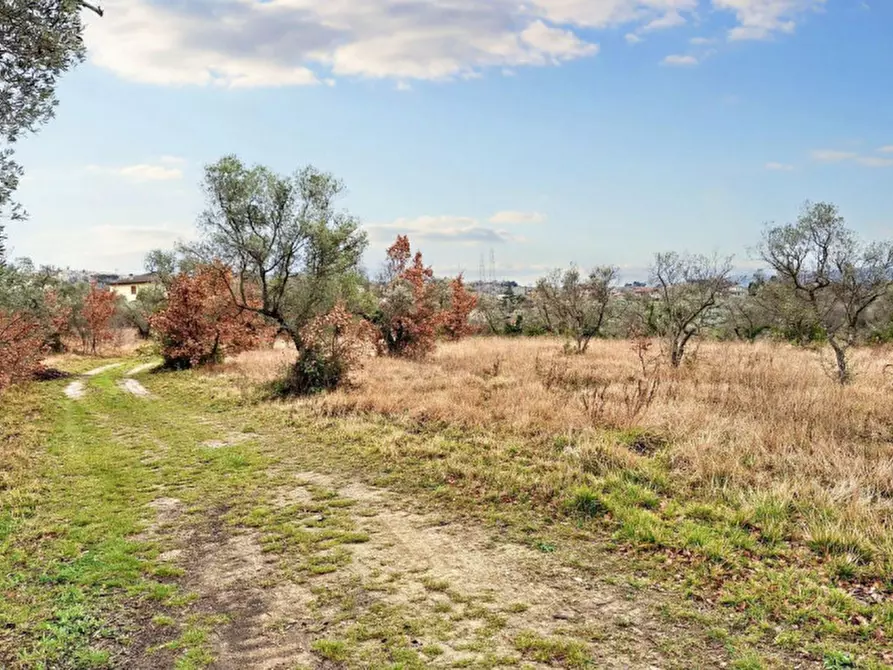 Immagine 3 di Terreno in vendita  in Sala-belvedere, SP 443, N. snc a Montefalco