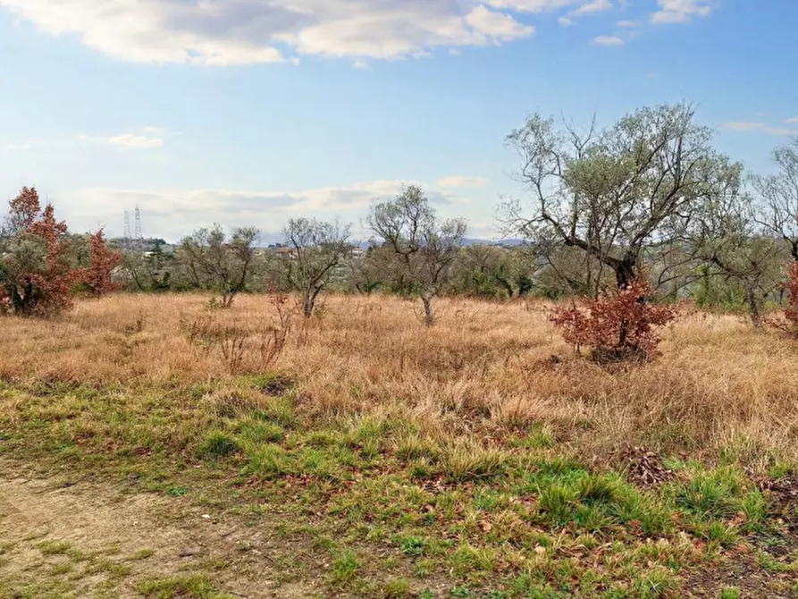 Immagine 4 di Terreno in vendita  in Sala-belvedere, SP 443, N. snc a Montefalco